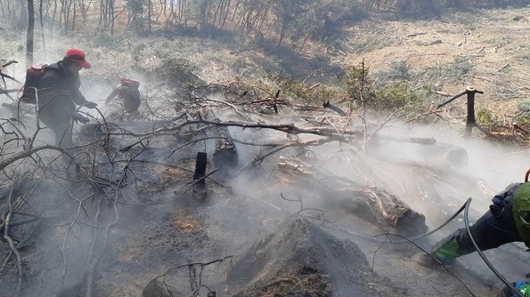 지난 4일 춘천 신북읍 발산리에서 산불이 발생한 가운데, 5일 진화대원들이 진화작업을 실시하고 있다. [강원도 산불방지대책본부 제공]