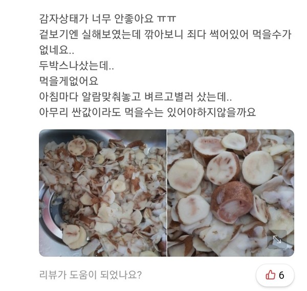 강원도 감자 구매후기