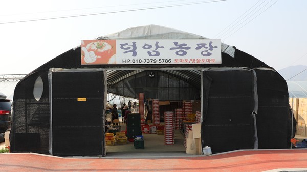 춘천시 신북읍 율문리에 위치한 덕암 토마토 농장의 전경. (사진=이정욱 기자)