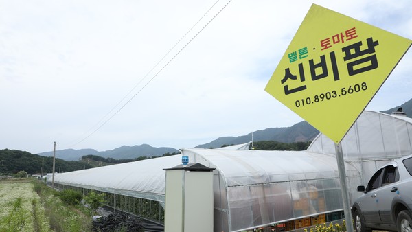 춘천시 신북읍 발산리에 위치한 '신비팜' 전경. (사진=김나연 기자)