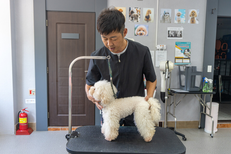 올바른 견체를 만드는 핸들러 과정 설명 중인 송대성 대표.(사진=서충식 기자)