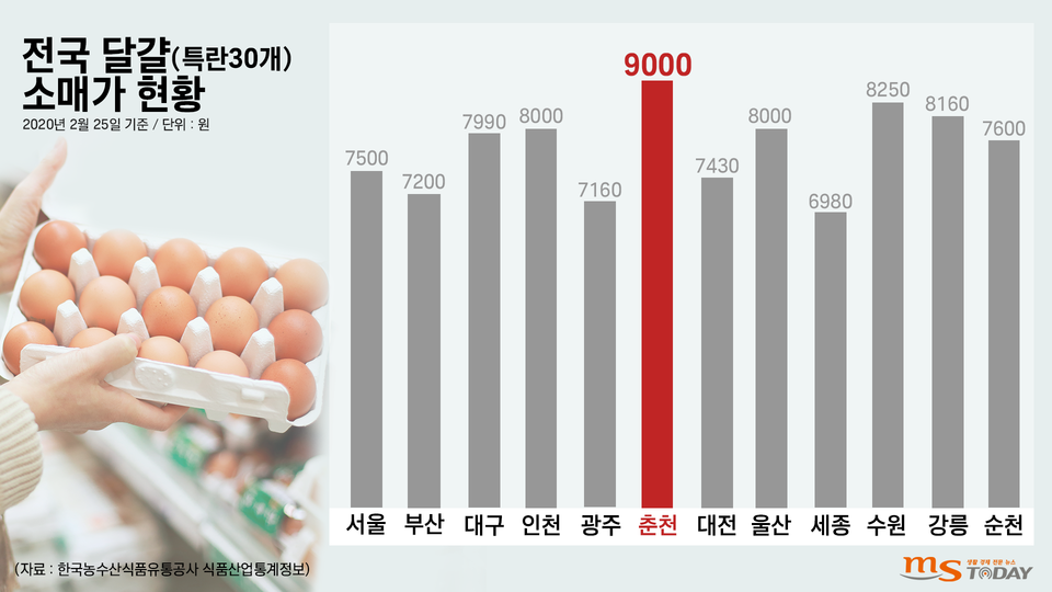 전국 달걀 소매가 현황. (그래픽=박지영 기자)