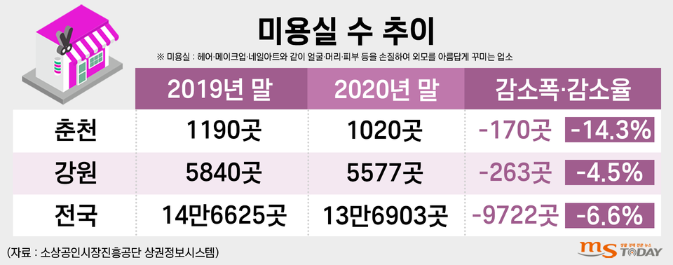 춘천지역 미용실 수 추이. (그래픽=박지영 기자)