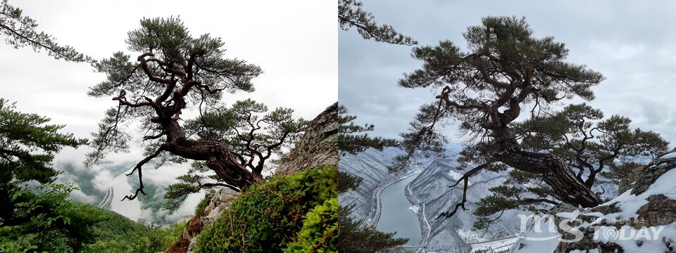 2020년 ‘제17회 북부지방산림청 산림 사진 공모전’에서 대상을 받은 강성일씨의 ‘북한강을 바라보며’와 같은 장소에서 찍은 북한강과 삼악산의 모습. (사진=강성일씨)