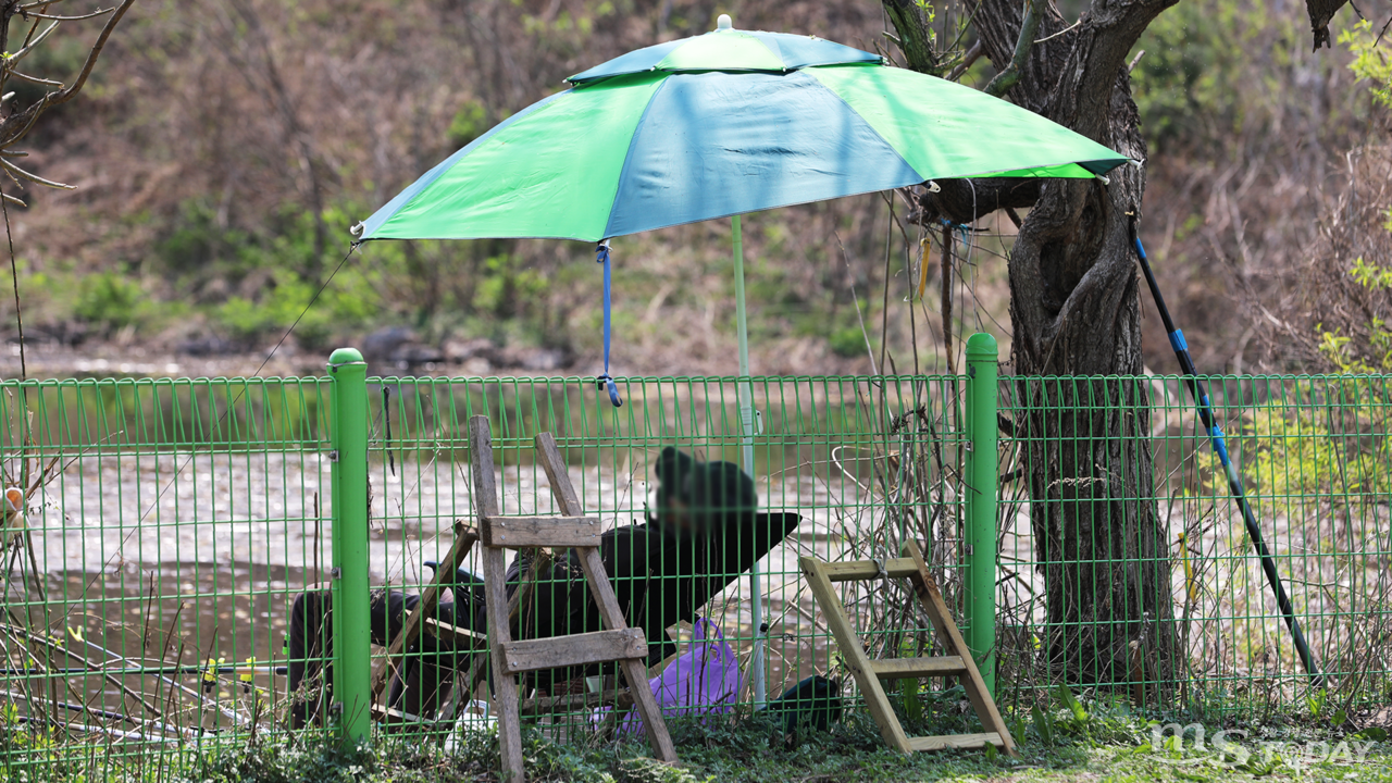 호수 내 접근을 막기 위한 철제 펜스는 낚시객들이 설치한 사다리로 무용지물이 된지 오래다. (사진=박지영 기자)