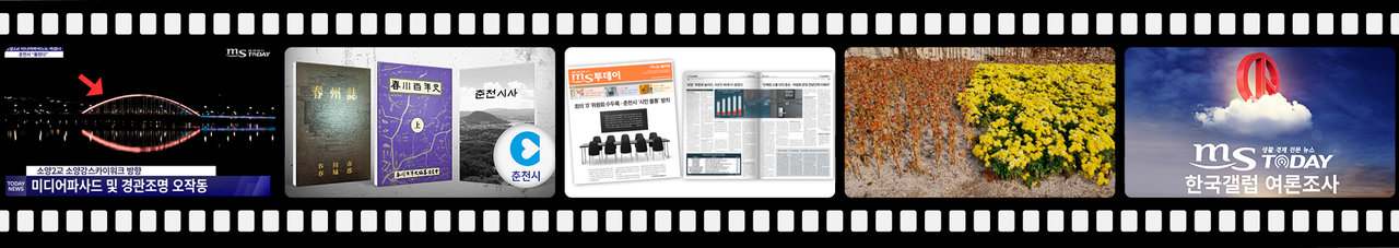 사진 왼쪽부터 춘천대교 경관조명 오작동, 40억 들이는 춘천시사 편찬, 회의 0회 유령위원회, 혈세 들인 꽃밭, MS투데이 여론조사 보도화면 (그래픽=박지영 기자)