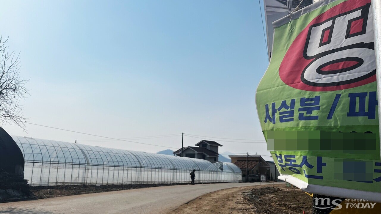 지난달 23일 춘천 동내면 고은리 마을 중심에 있는 전봇대에 부동산 홍보 현수막이 부착돼있다. 인근 도로 내 전봇대 16개에만 ‘건물·땅 매입 스티커’ 62개가 붙어있었다. (사진=진광찬 기자)