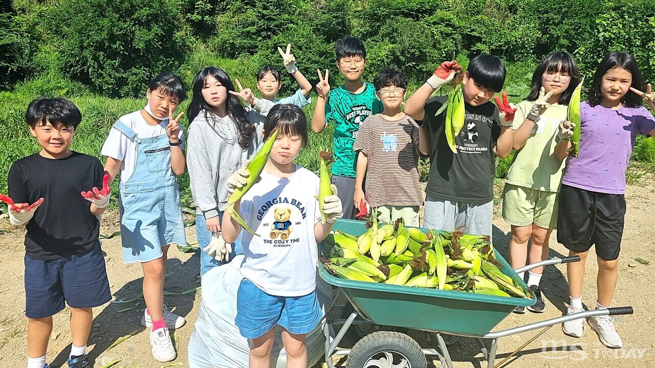 조양초는 학력과 건강, 인성 교육을 목표로 도심 학교에서 경험할 수 없는 다양한 교육 프로그램을 진행하고 있다.  (사진=조양초등학교)