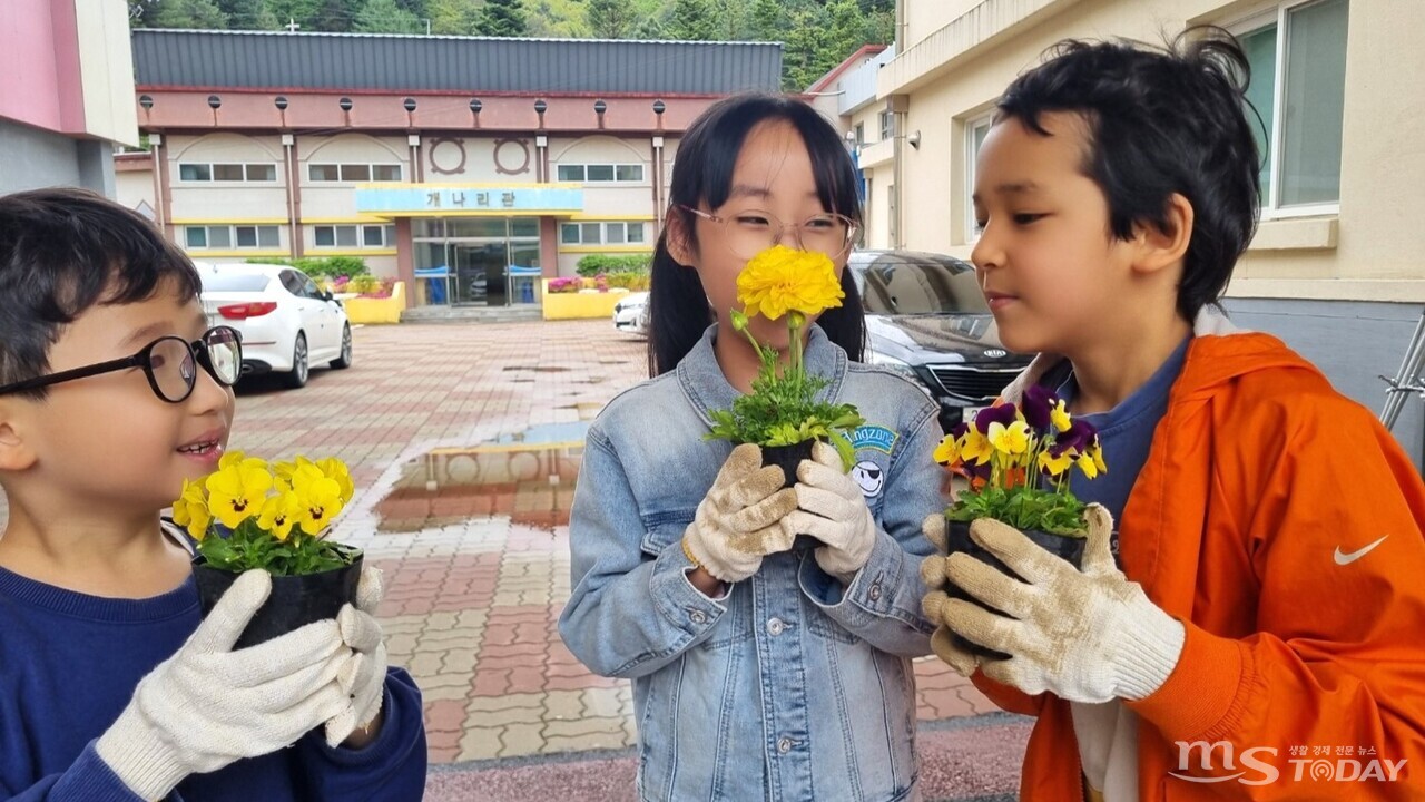 춘천 동산면에 위치한 조양초등학교의 입학생 수가 지난해에 비해 3배 가량 증가했다. (사진=조양초등학교)