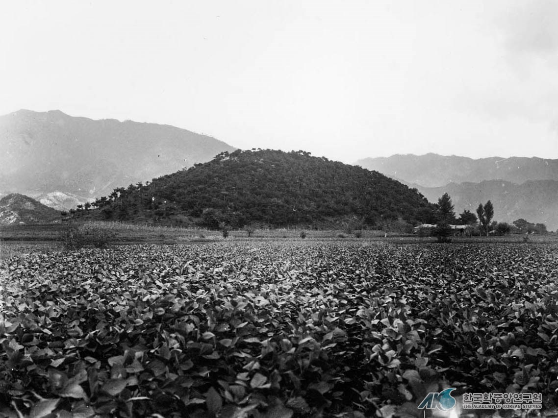 1919년 신북 발산과 대궐터 모습. (사진=국립중앙박물관)