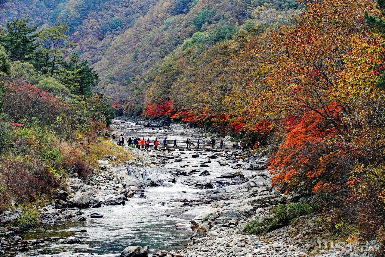 이달부터 11월까지 매주 금·토·일요일에 3개 코스로 구성된 양구 시티투어가 운영된다. (사진=양구군)